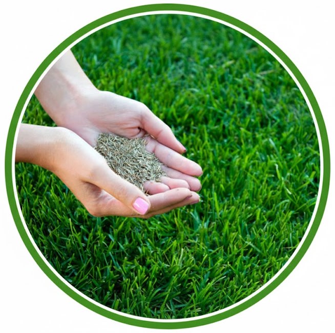 zmir%20Peyzaj%20ve%20Sulama%20Sistemleri